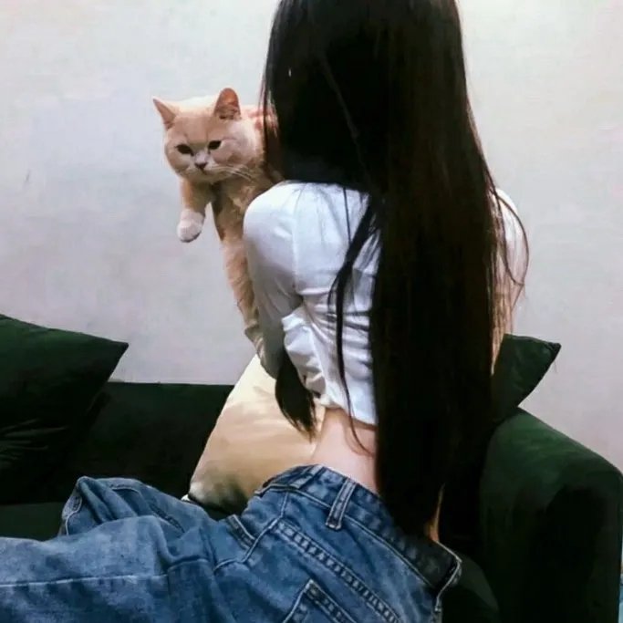 猫忍